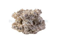 Cave 2 Holes 10 cm
