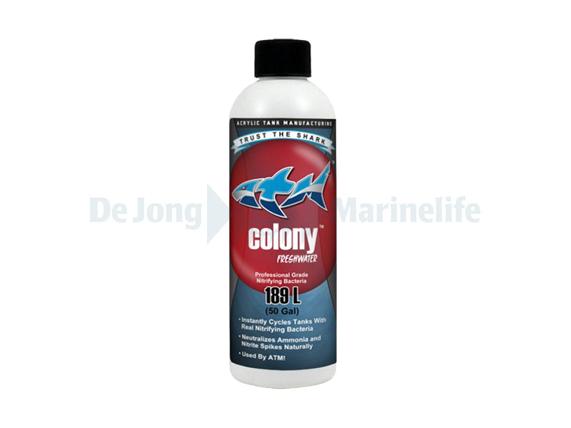 Colony Nitrify Bacteria Fresh - 237ml