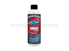 Colony Nitrify Bacteria Fresh - 237ml