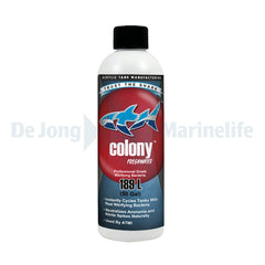 Colony Nitrify Bacteria Marine - 237ml