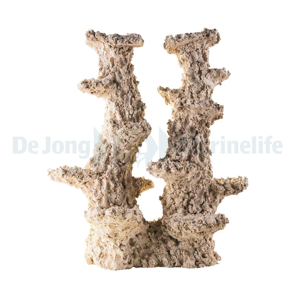 Colum Wide 2 Branches - 50 cm