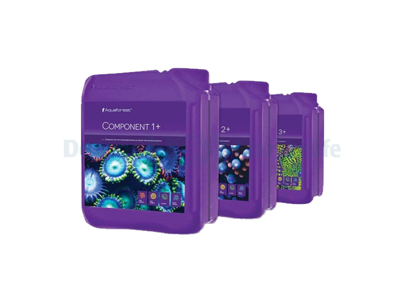 Component 1+, 2+, 3+  3x5l