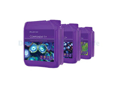 Component 1+, 2+, 3+  3x5l