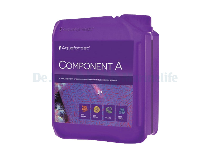 Component B - 2000ml