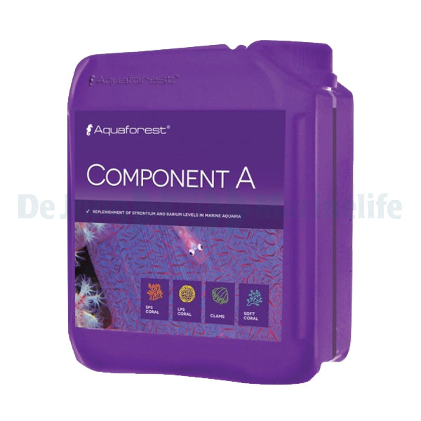 Component B - 2000ml