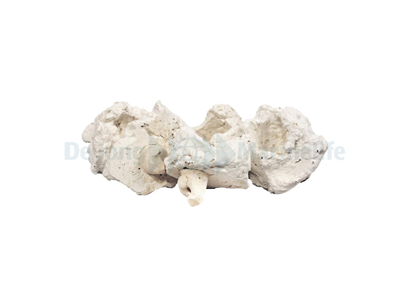 coral pins (100 pcs.)
