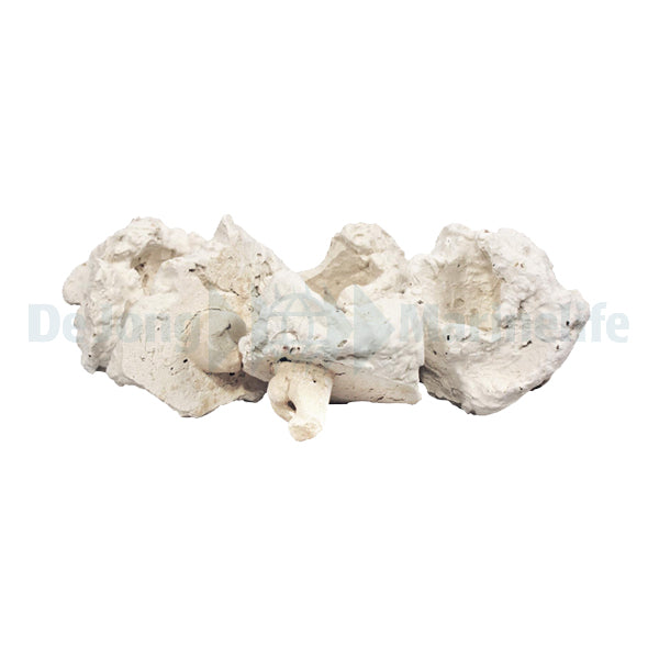 coral pins (100 pcs.)