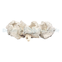 coral pins (100 pcs.)