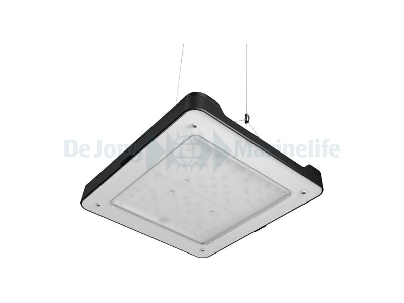 Philips CoralCare LED (UK) - Black (new model)