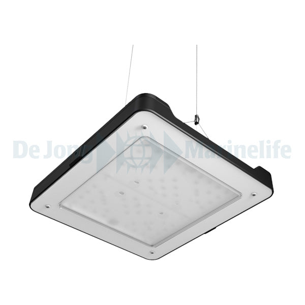 Philips CoralCare LED (UK) - Black (new model)