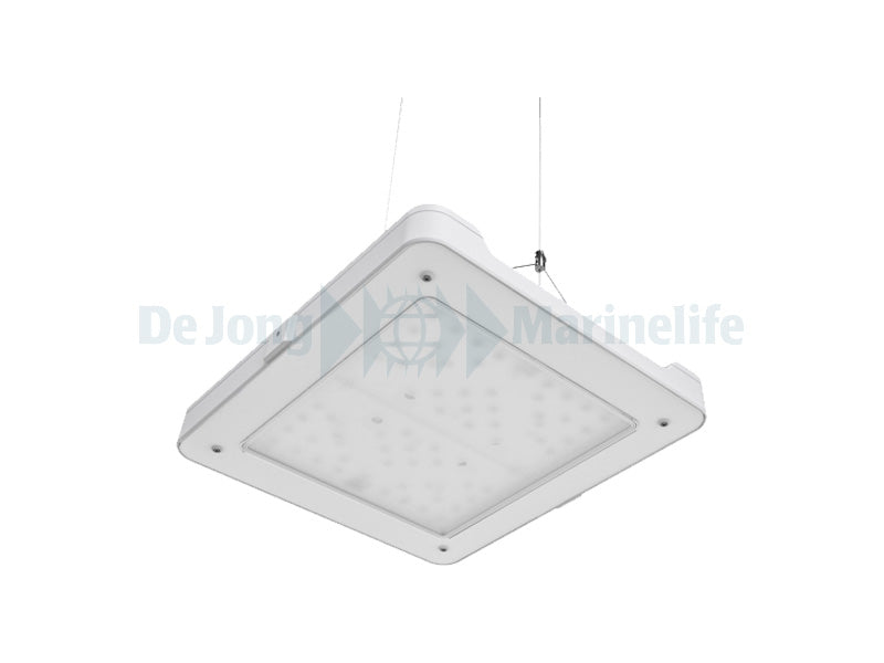 Philips CoralCare LED (UK) - White (new model)