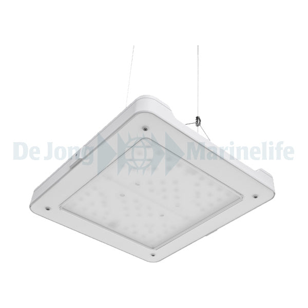 Philips CoralCare LED (UK) - White (new model)