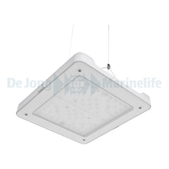 Philips CoralCare LED (UK) - White (new model)