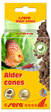 Sera Elzenkegels / Alder Cones