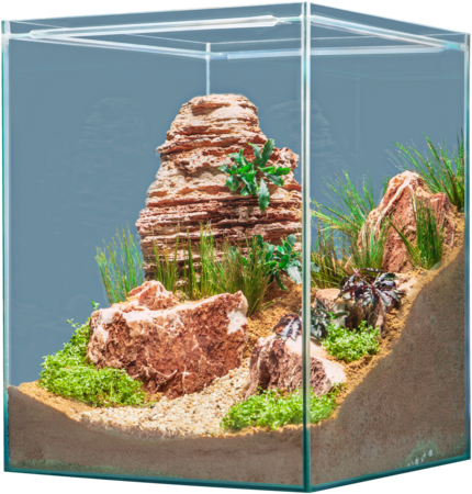 sera Hardscape Desert