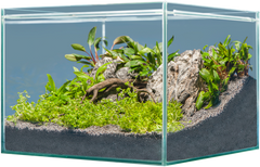 sera Hardscape Asia