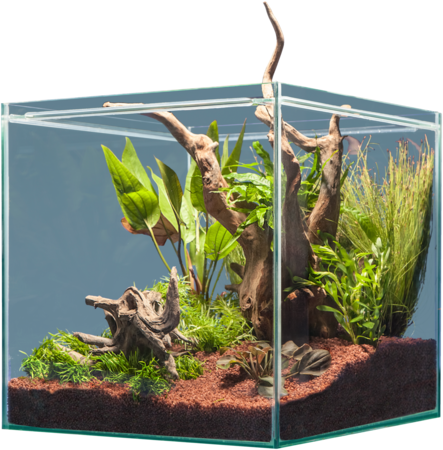 Sera Hardscape Scaper Cube South America
