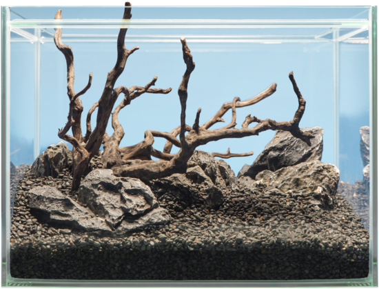 sera Hardscape Shrimp