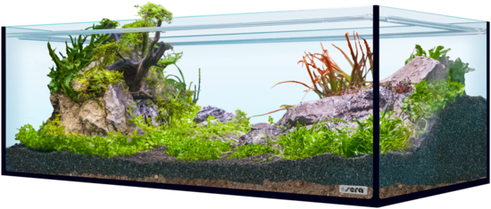 sera Hardscape Shrimp XXL
