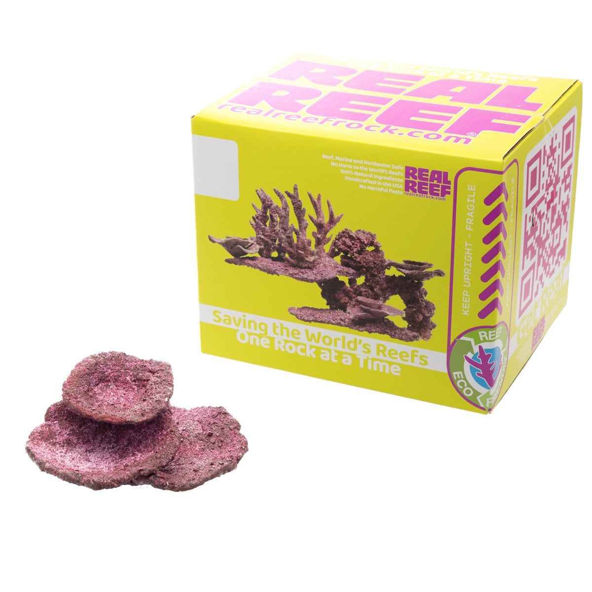 Real Reef Plate Coral - 10pcs