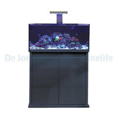 D-D Reef-Pro 900 Anthracite