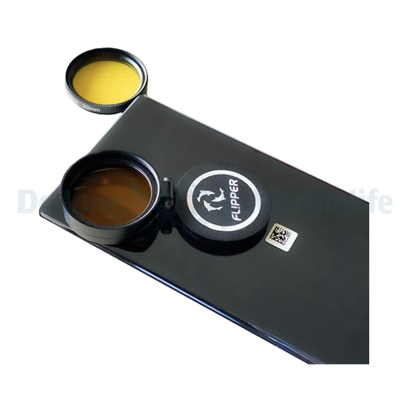 DeepSee Flip-Kick - Magnified Aquarium Viewer