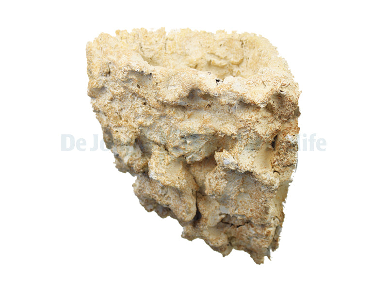 Delta Rock