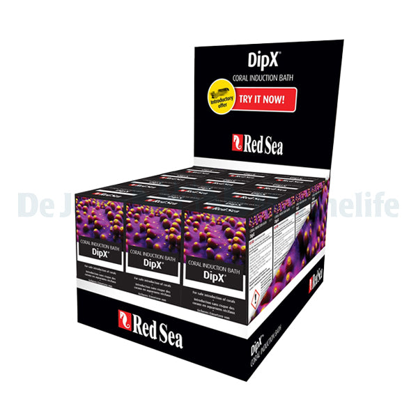DipX - Display box (12 x 100ml)