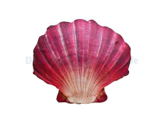 Scallop Pillow Purple - Medium
