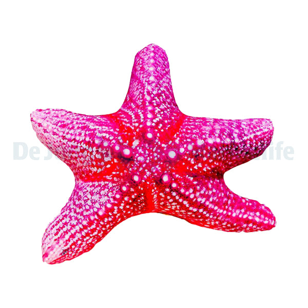 Starfish Pillow - Medium