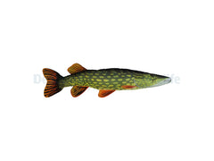 Pike Pillow  - Medium