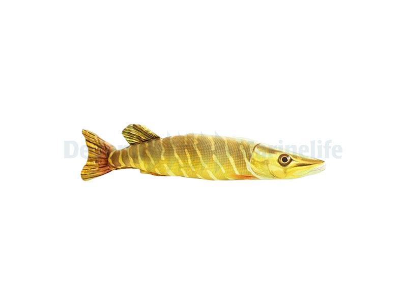 Pike Pillow - Mini