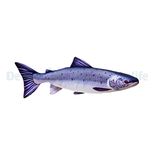 Salmon Pillow - Medium