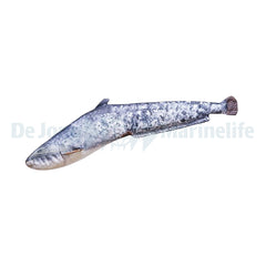 Catfish Pillow