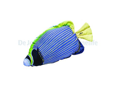 The Emperor Angelfish Pillow