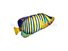 The Regal Angelfish Pillow