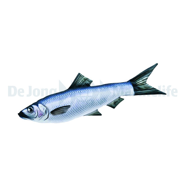 Herring Pillow - Medium
