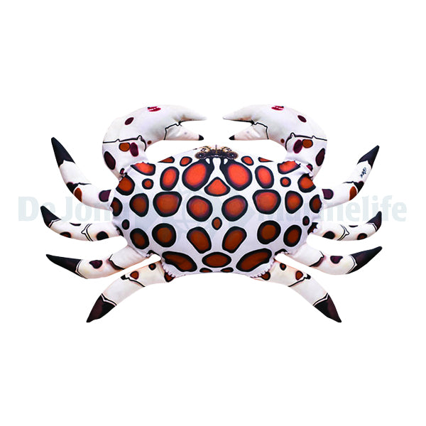 Calico Crab Pillow