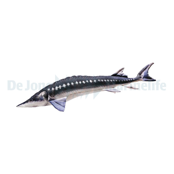 Sturgeon Pillow