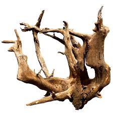 Selected CORBO-ROOT JUMBO XXL 80-120cm