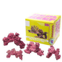 Real Reef Arches - Medium 4pcs