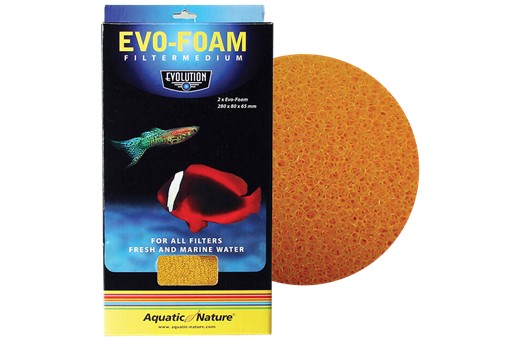 EVO Foam
