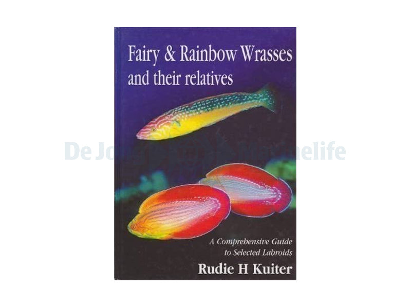 Fairy and Rainbow Wrasses Guide