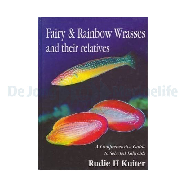 Fairy and Rainbow Wrasses Guide