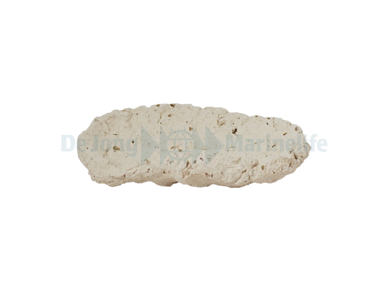 Fragstone for Clam - 10-13 cm