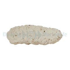 Fragstone for Clam - 10-13 cm