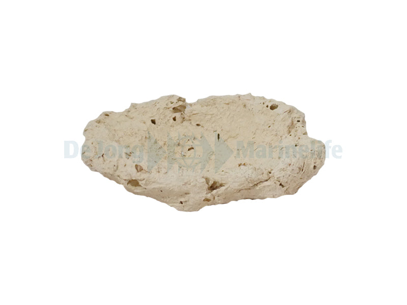 Fragstone for Clam - 5-7 cm