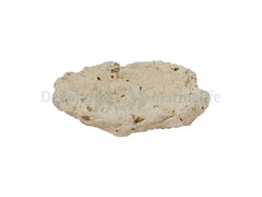 Fragstone for Clam - 5-7 cm