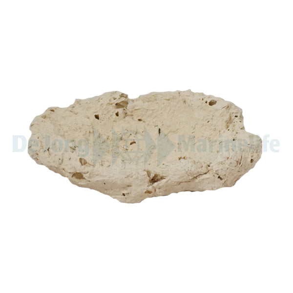 Fragstone for Clam - 5-7 cm