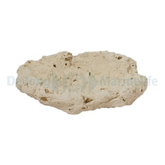 Fragstone for Clam - 5-7 cm